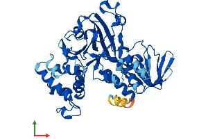AlphaFold protein structure predicition of Human Recombinant GDI2 Protein, UniprotID P50395