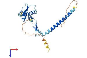 AlphaFold protein structure predicition of Mouse Recombinant Cidec Protein, UniprotID P56198