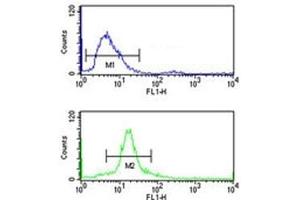 SSB antibody flow cytometry analysis of 293 cells (bottom histogram) compared to a negative control cell (top histogram).