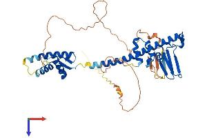 AlphaFold protein structure predicition of Mouse Recombinant Tfdp1 Protein, UniprotID Q08639