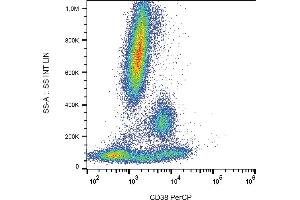 Flow cytometry analysis (surface staining) of human peripheral blood with anti-human CD38 (HIT2) PerCP. (CD38 anticorps  (PerCP))