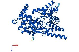 AlphaFold protein structure predicition of Human Recombinant SMYD3 Protein, UniprotID Q9H7B4