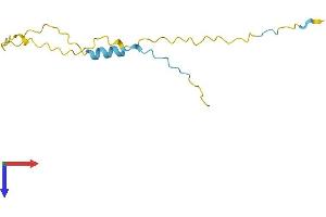AlphaFold protein structure predicition of Human Recombinant XAGE3 Protein, UniprotID Q8WTP9