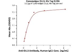 Immobilized Cynomolgus DLL3, His Tag (ABIN6992335) at 1 μg/mL (100 μL/well) can bind A Antibody, Human IgG1 with a linear range of 0.