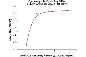 Immobilized Cynomolgus DLL3, His Tag (ABIN6992335) at 1 μg/mL (100 μL/well) can bind A Antibody, Human IgG1 with a linear range of 0.