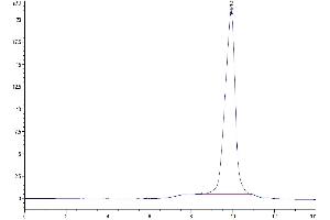 The purity of Cynomolgus TIGIT is greater than 95 % as determined by SEC-HPLC.