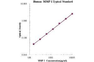 ELISA image for Matrix Metallopeptidase 1 (Interstitial Collagenase) (MMP1) ELISA Kit (ABIN2681241)