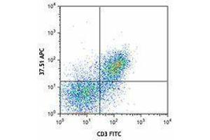 Flow Cytometry (FACS) image for anti-CD28 (CD28) antibody (APC) (ABIN2658578) (CD28 anticorps  (APC))