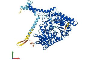 AlphaFold protein structure predicition of Human Recombinant CPT1B Protein, UniprotID Q92523