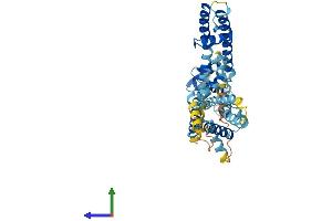 AlphaFold protein structure predicition of Mouse Recombinant Kcng3 Protein, UniprotID P59053