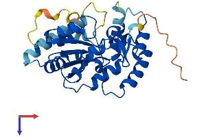 AlphaFold protein structure predicition of Human Recombinant SULT4A1 Protein, UniprotID Q9BR01
