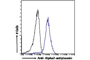 (ABIN334343) Flow cytometric analysis of paraformaldehyde fixed A431 cells (blue line), permeabilized with 0. (alpha 2 Antiplasmin anticorps  (Internal Region))