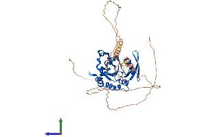 AlphaFold protein structure predicition of Mouse Recombinant Ctdspl2 Protein, UniprotID Q8BG15
