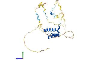 AlphaFold protein structure predicition of Human Recombinant HOXC4 Protein, UniprotID P09017