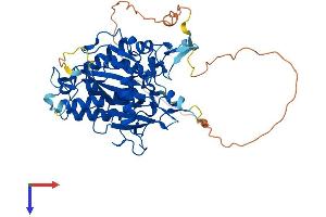 AlphaFold protein structure predicition of Human Recombinant ADAT1 Protein, UniprotID Q9BUB4