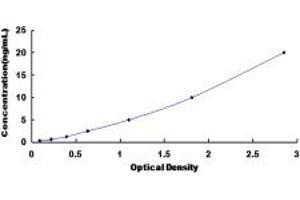 Typical standard curve (SLC39A6 Kit ELISA)
