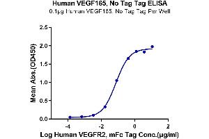 Immobilized Human VEGF165 at 1 μg/mL (100 μL/well) on the plate.