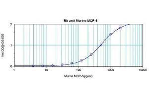 Image no. 3 for anti-Chemokine (C-C Motif) Ligand 12 (Ccl12) antibody (ABIN465845) (Ccl12 anticorps)