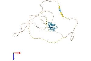 AlphaFold protein structure predicition of Mouse Recombinant Srsf4 Protein, UniprotID Q8VE97