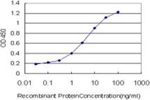Detection limit for recombinant GST tagged CACNG3 is approximately 0.