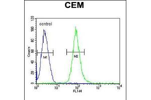 Flow cytometric analysis of CEM cells (right histogram) compared to a negative control cell (left histogram).