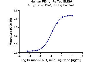 ELISA image for Programmed Cell Death 1 (PDCD1) (AA 25-167) protein (Fc Tag) (ABIN7275419)