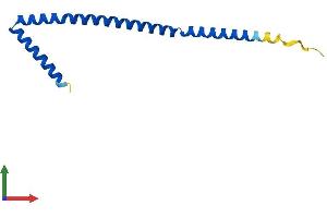 AlphaFold protein structure predicition of Mouse Recombinant Borcs8 Protein, UniprotID Q9D6Y4