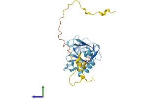 AlphaFold protein structure predicition of Mouse Recombinant Frg1 Protein, UniprotID P97376
