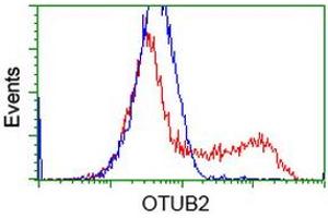 HEK293T cells transfected with either RC209650 overexpress plasmid (Red) or empty vector control plasmid (Blue) were immunostained by anti-OTUB2 antibody (ABIN2453408), and then analyzed by flow cytometry. (OTUB2 anticorps)
