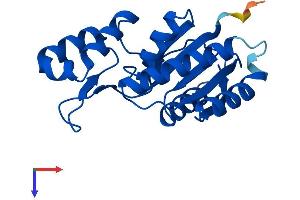 AlphaFold protein structure predicition of Human Recombinant SSU72 Protein, UniprotID Q9NP77