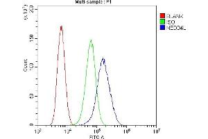 Flow Cytometry analysis of U20S cells using anti-NEDD4-2 antibody (ABIN5693274).