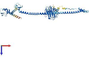 AlphaFold protein structure predicition of Mouse Recombinant Trim39 Protein, UniprotID Q9ESN2