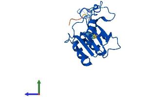 AlphaFold protein structure predicition of Mouse Recombinant Dctd Protein, UniprotID Q8K2D6