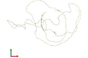 AlphaFold protein structure predicition of Human Recombinant DERPC Protein, UniprotID P0CG12