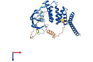 AlphaFold protein structure predicition of Mouse Recombinant Fkbpl Protein, UniprotID O35450