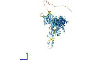 AlphaFold protein structure predicition of Mouse Recombinant Msh5 Protein, UniprotID Q9QUM7
