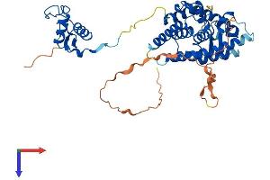 AlphaFold protein structure predicition of Mouse Recombinant Hnf4g Protein, UniprotID Q9WUU6