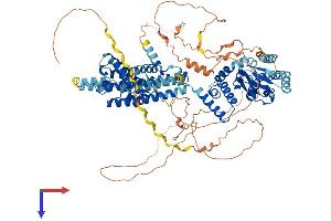 AlphaFold protein structure predicition of Human Recombinant HCN2 Protein, UniprotID Q9UL51