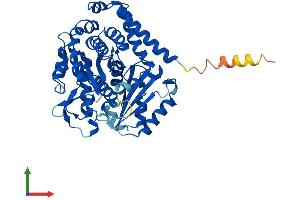 AlphaFold protein structure predicition of Mouse Recombinant Tubb1 Protein, UniprotID A2AQ07