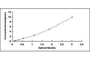 Inhibitory Subunit Of NF kappa B alpha ELISA Kit