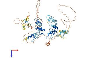 AlphaFold protein structure predicition of Human Recombinant ZNF382 Protein, UniprotID Q96SR6