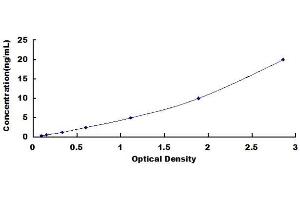 Typical standard curve