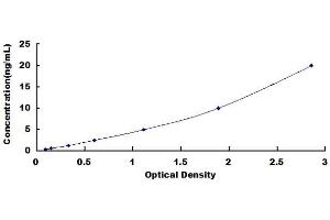 Typical standard curve (QPRT Kit ELISA)
