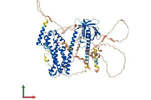 AlphaFold protein structure predicition of Human Recombinant PLEKHG6 Protein, UniprotID Q3KR16