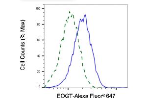 Validation of EOGT knockdown using flow cytometry. (Recombinant AER61 anticorps)