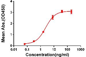ELISA plate pre-coated by 2 μg/mL (100 μL/well) Human 4-1BB Protein, mFc-His Tag ABIN6961084, ABIN7042197 and ABIN7042198 can bind Rabbit anti-4-1BB monoclonal antibody (clone: DM66) in a linear range of 1-100 ng/mL.