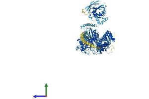 AlphaFold protein structure predicition of Mouse Recombinant Myo1b Protein, UniprotID P46735
