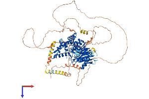 AlphaFold protein structure predicition of Mouse Recombinant Dennd1b Protein, UniprotID Q3U1T9