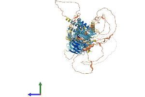 AlphaFold protein structure predicition of Mouse Recombinant Scap Protein, UniprotID Q6GQT6