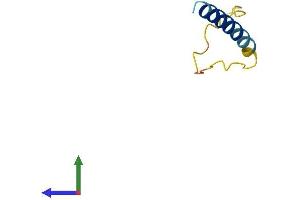 AlphaFold protein structure predicition of Human Recombinant LENEP Protein, UniprotID Q9Y5L5
